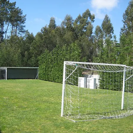 Vieira