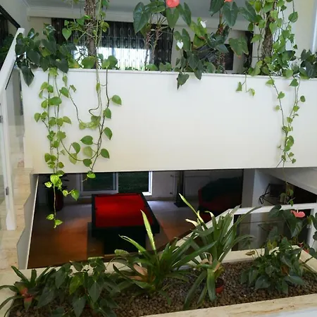 Vieira Prázdninový dům